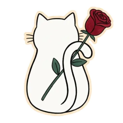 cat, cat lover, romantic, love, cute, WhatsApp stickers, stickers, love text (17)